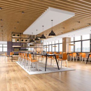 Modular Ergonomic Canteen Seats