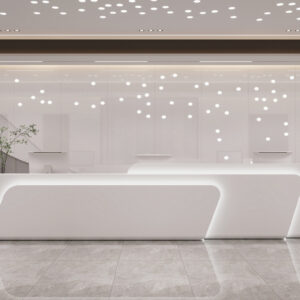 Modern Minimalist Office Reception Desk