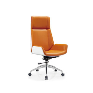 Casual Comfortable Office Chair with Premium Upholstery