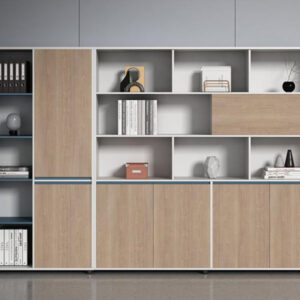 Premium Durable Minimalist Office Cabinet