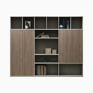 Sleek Executive Office Cabinet