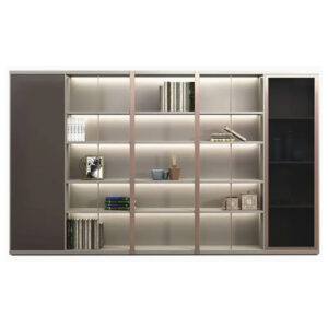 Professional Executive Office Cabinet