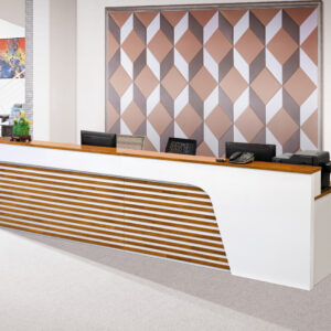 Modern Minimalist Office Reception Desk