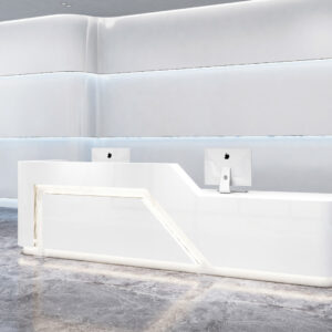 Modern Minimalist Office Reception Desk