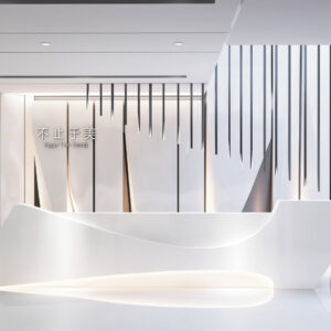 Modern Minimalist Office Reception Desk