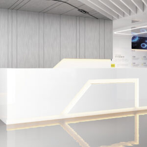 Modern Minimalist Office Reception Desk