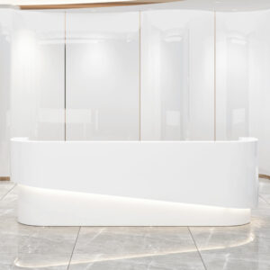 Modern Minimalist Office Reception Desk