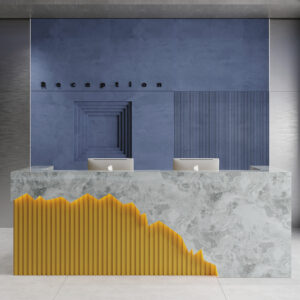 Modern Minimalist Office Reception Desk