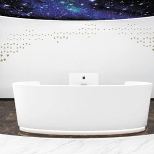 Modern Minimalist Office Reception Desk