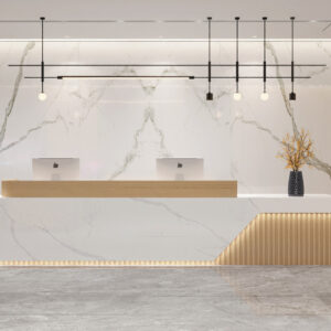 Modern Minimalist Office Reception Desk