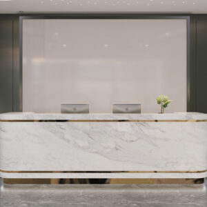 Modern Minimalist Office Reception Desk
