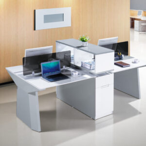 Modern Minimalist Office Workstation